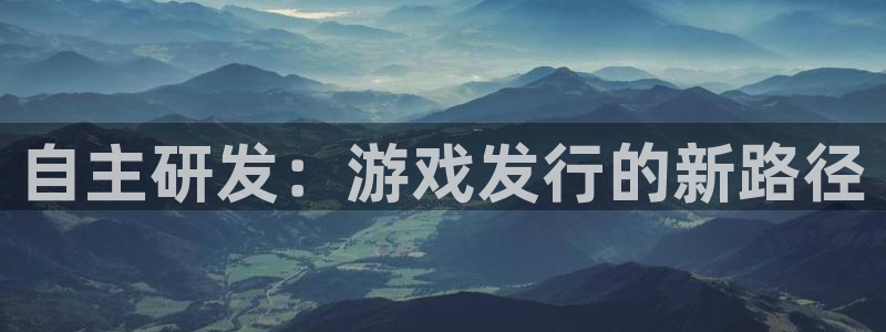四川bg大游科技有限公司招聘：自主研发：游戏发行的新路径
