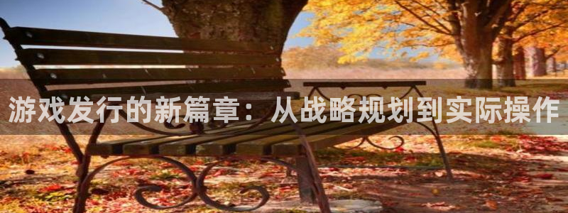 bg大游官网登录注册账号失败怎么回事：游戏发行的新篇章：从战略规划到实际操作