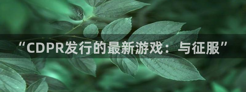bg大游子最好看的小说：“CDPR发行的最新游戏：与征服”