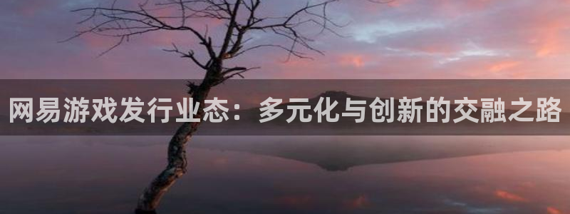 bg大游官网登录注册账号失败怎么办：网易游戏发行业态：多元化与创新的交融之路