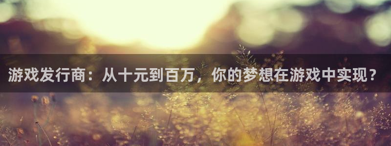 bg大游官网注册平台官网：游戏发行商：从十元到百万，你的梦想在游戏中实现？