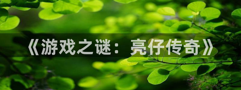 bg大游官网注册平台怎么样啊：《游戏之谜：亮仔传奇》
