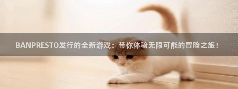 bg大游服装