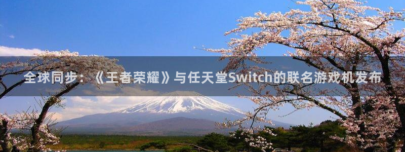 bg大游子教育科技(江门)有限公司