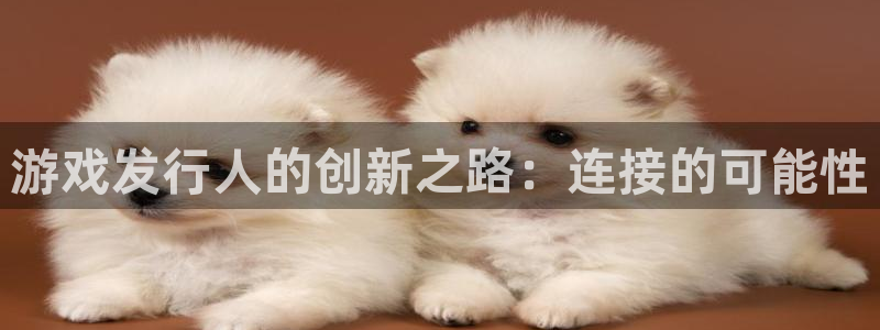 bg大游官网注册平台怎么样：游戏发行人的创新之路：连接的可能性