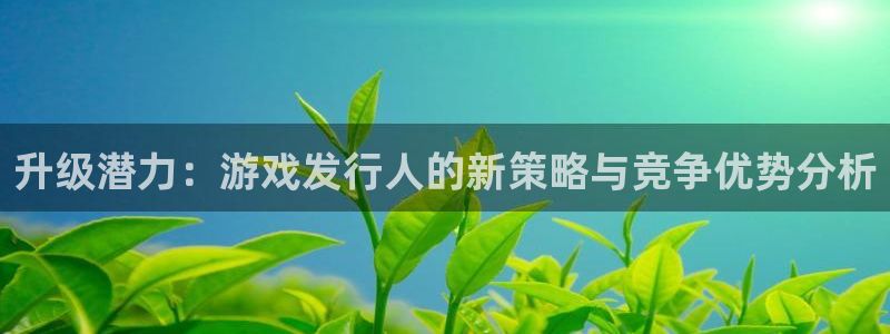 bg大游价格：升级潜力：游戏发行人的新策略与竞争优势分析