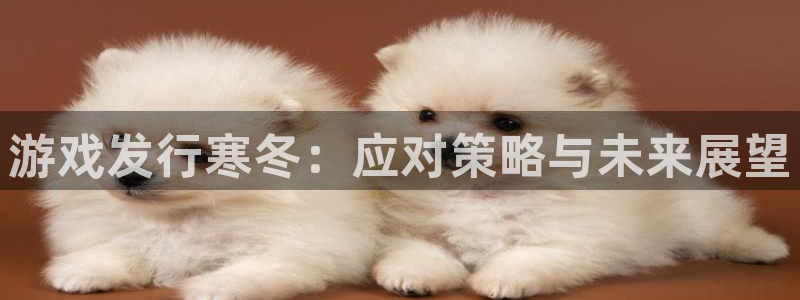 bg大游品牌策划公司：游戏发行寒冬：应对策略与未来展望