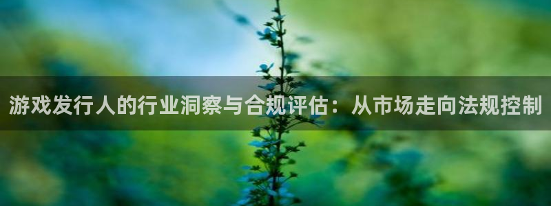 bg大游电子科技