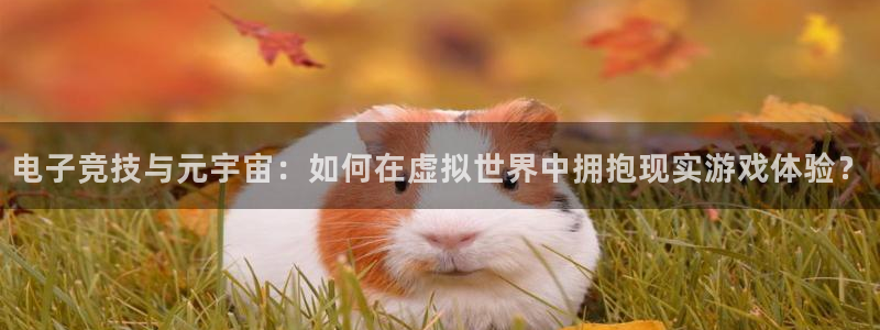 bg大游品牌策划