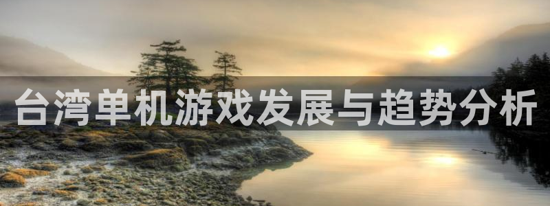 江苏bg大游人力资源有限公司怎么样：台湾单机游戏发展与趋势分析