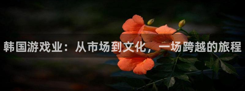 法国bg大游