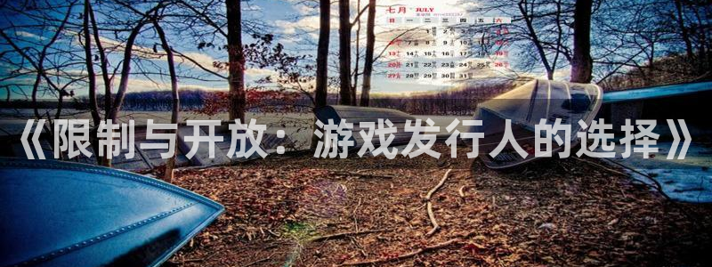 bg大游是什么品牌