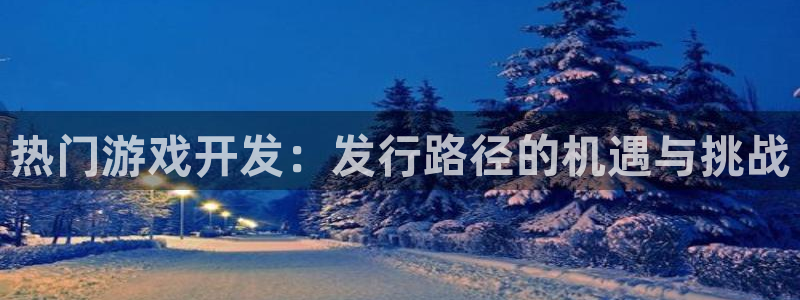 bg大游涂料(北京)有限公司：热门游戏开发：发行路径的机遇与挑战