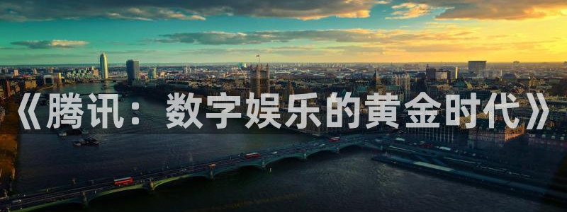 bg大游官网登录注册账号是什么样的：《腾讯：数字娱乐的黄金时代》