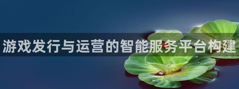 bg大游官网登录注册账号安全吗可靠吗：游戏发行与运营的智能服务平台构建