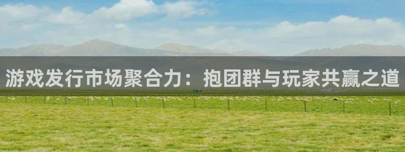 广东bg大游电商bruno：游戏发行市场聚合力：抱团群与玩家共赢之道