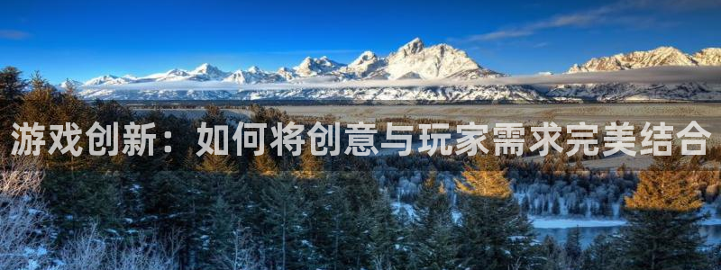 bg大游主管：游戏创新：如何将创意与玩家需求完美结合