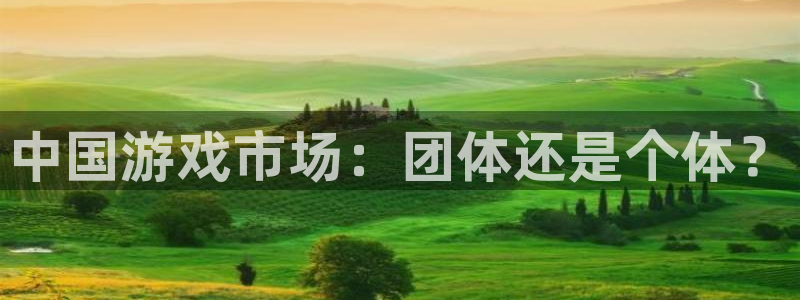 bg大游干红葡萄酒750毫升多少钱