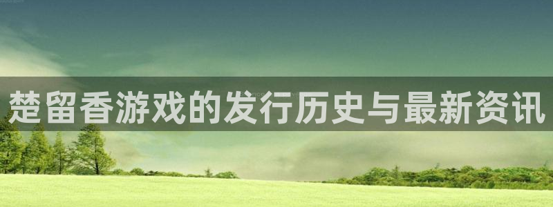 bg大游子代表什么意思